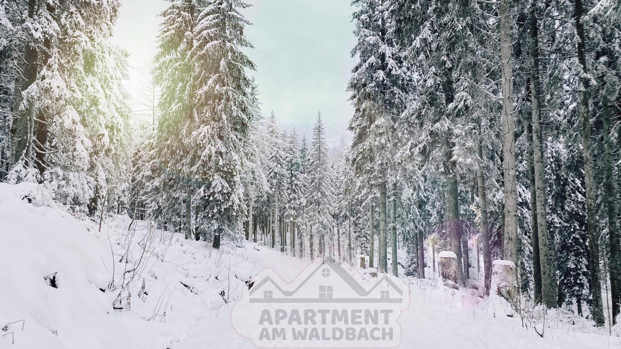 Apartment Am Waldbach Gernsbach Bagian luar foto